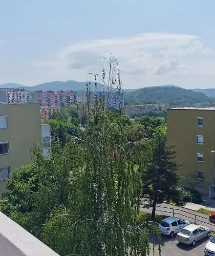 Διαμέρισμα Viztorony *